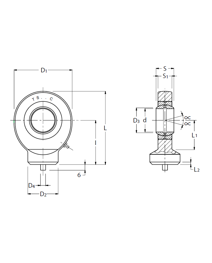 Gelenkkopf TS_C (GK_DO)