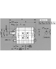 Zahnradpumpe Gr.2 Version B12