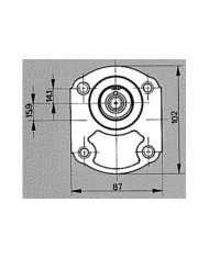 Zahnradpumpe Gr.2 Version B12