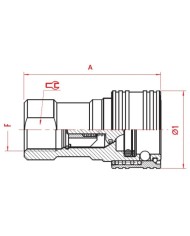 Kupplungs-Muffe (weiblich)