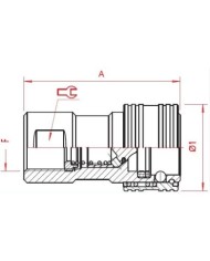 Kupplungs-Muffe (weiblich)