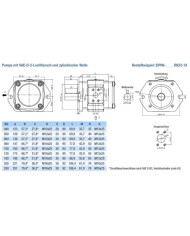 EIPH6 SAE-2-Lochflansch, Welle zylindrisch