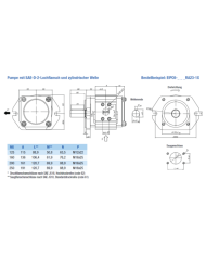 EIPC6 SAE-2-Lochflansch, Welle zylindrisch