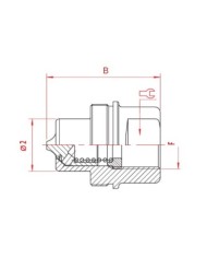 Schraubkupplung Stecker maennlich