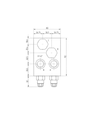 zu-eaton-serie-2000-mit-hohlschraubenbefestigung