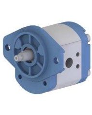 2-Lochfl. SAE B, Welle Kegel 1:8