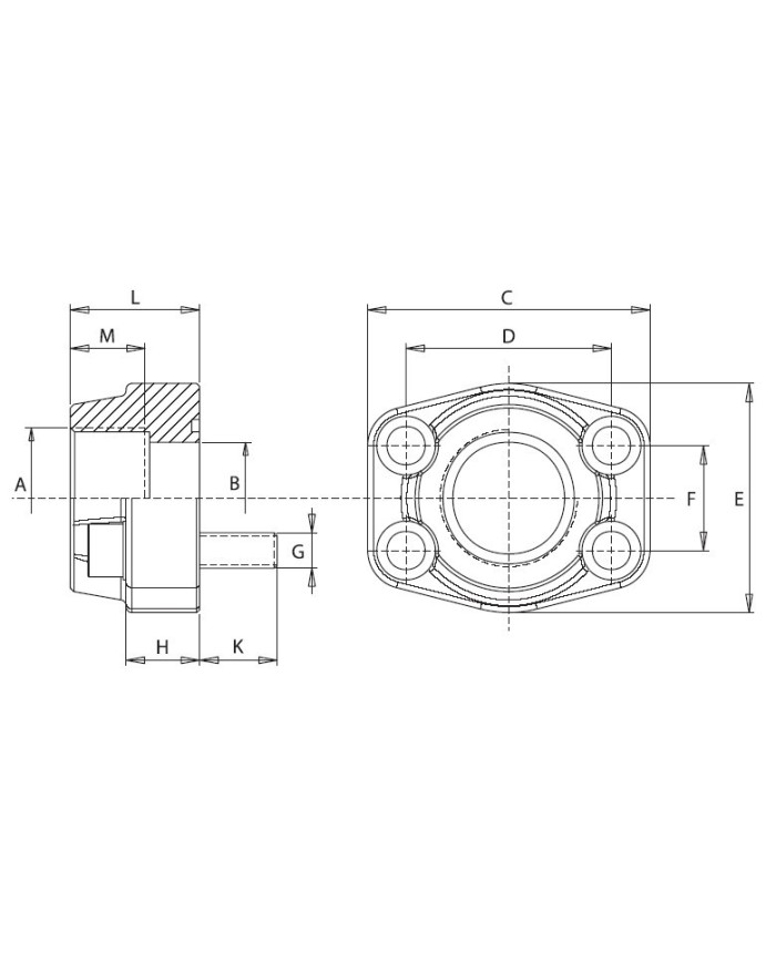 6000 PSI rostfreier Stahl 1.4404