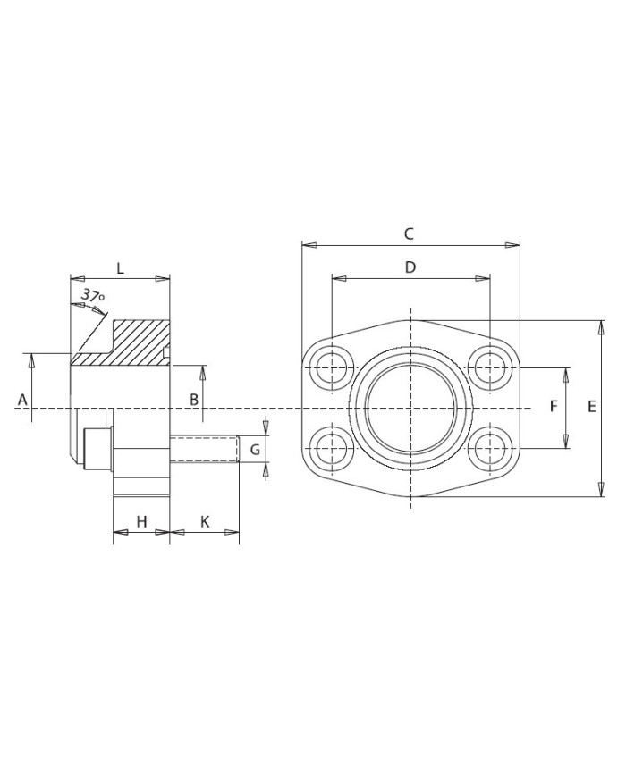 6000 PSI Stahl ASTM/A 105