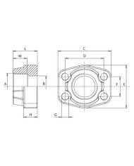3000 PSI Stahl ASTM/A 105