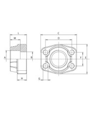 3000 PSI Stahl ASTM/A 105