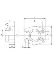 3000 PSI Stahl ASTM/A 105
