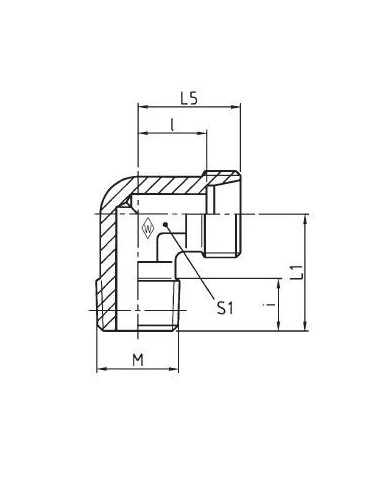 Serie L Winkel-Einschraubstutzen WES - MK