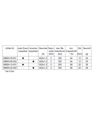 Einschraub-Kupplungsnippel