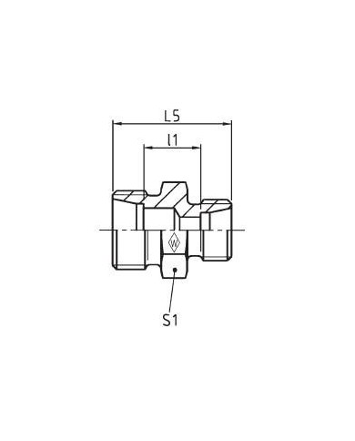 Serie S Gerade Reduzierstutzen GS /