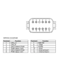 Kabel 3m mit 12-poligem Deutsch-Stecker, zweikanalig
