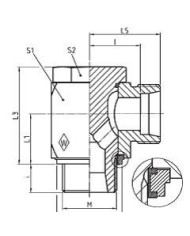 Serie L Winkel-Schwenkstutzen RSWS - M-WD