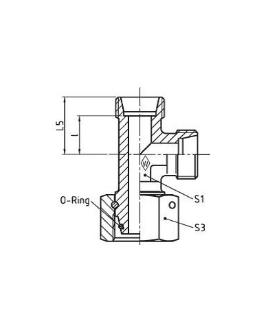Serie S Einstellbare L-Stutzen ELSD