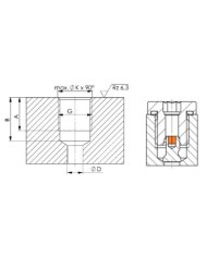 Entlüftungsschraube