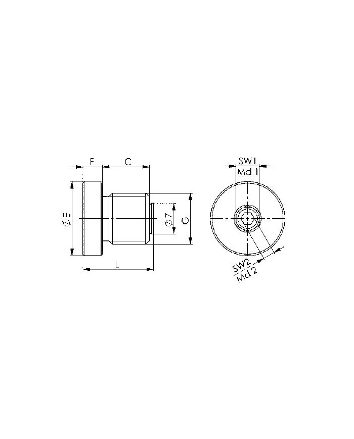 Entlüftungsschraube
