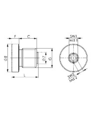 Entlüftungsschraube
