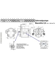 2-Lochfl. SAE B, Welle Zahnprofil SAE B