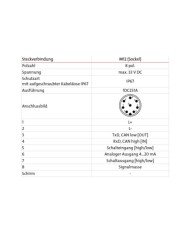 Partikel Monitor BPM