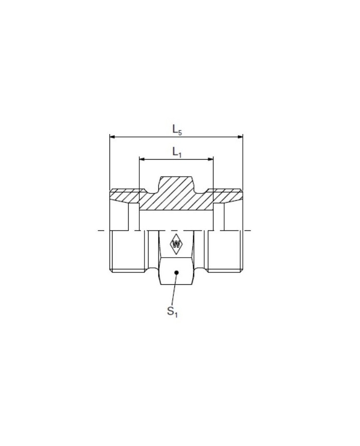 Serie L Gerade Stutzen GS -1.4571