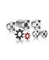 Kupplung motorseitig