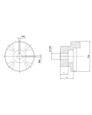 Kupplung motorseitig